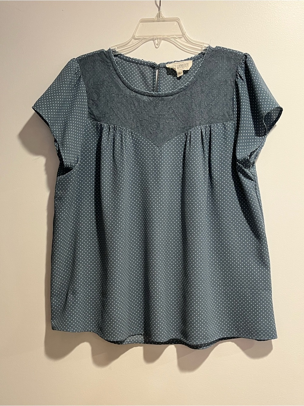 Sweet Wanderer Polka Dot Lace-Yoke Short Sleeve Blouse